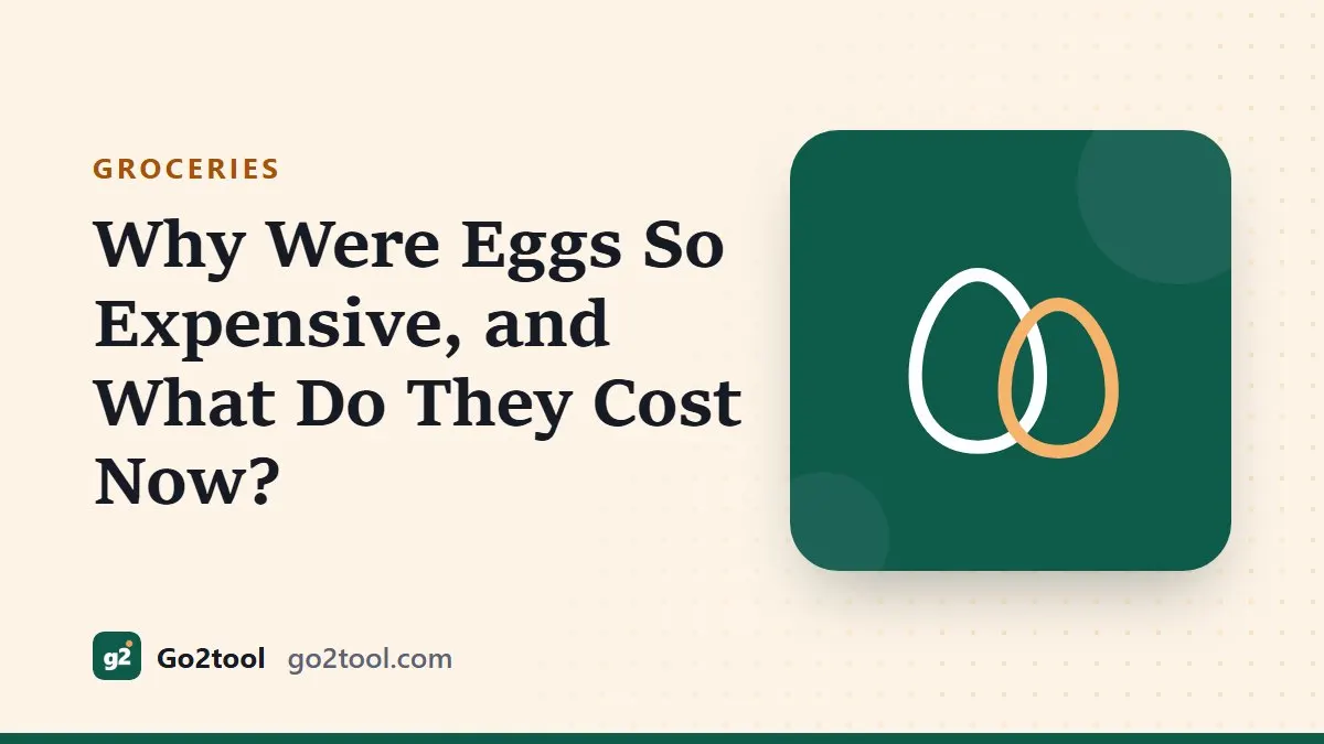 Two eggs icon with the title Why Were Eggs So Expensive, and What Do They Cost Now?